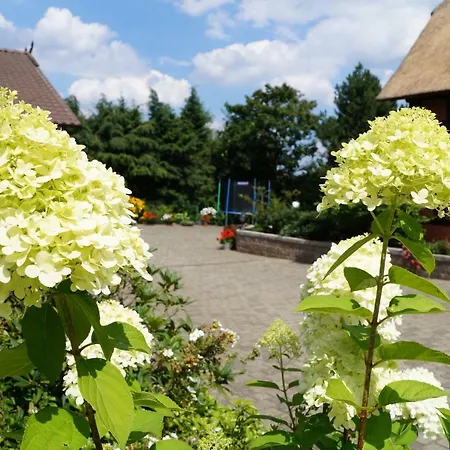 Buchenhof-nordheide *