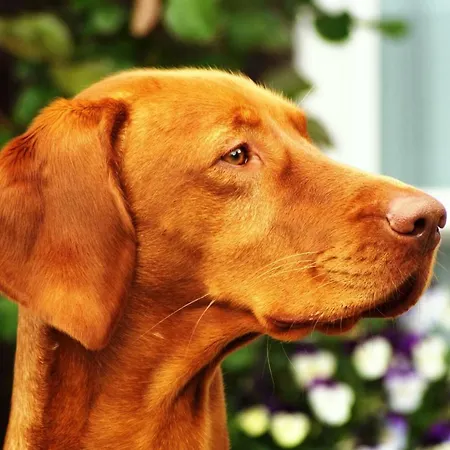 Buchenhof-nordheide *