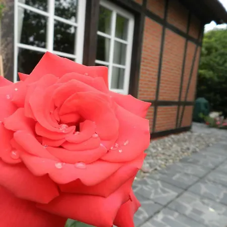 Buchenhof-nordheide *