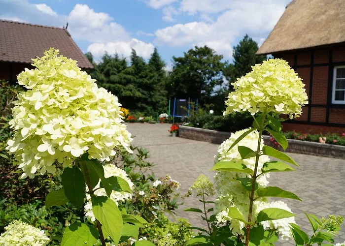 Buchenhof-nordheide *