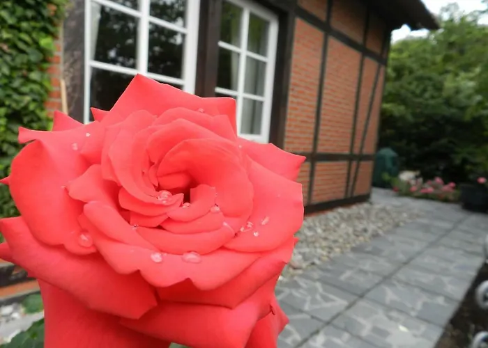 Buchenhof-nordheide *