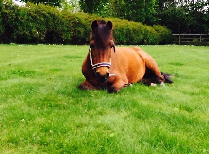 Buchenhof-nordheide * Lubberstedt